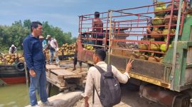 Kabid ESDM Dinas Perdagangan, Koperasi, UKM dan ESDM Kabupaten Karimun Vandarones Purba saat meninjau aktivitas bongkar gas LPG 3 kg di pelabuhan kolong samping Pasar Puan Maimun, Minggu 21 April 2024. Foto: Nov