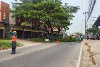 Foto: Petugas PLN memandu arah lalulintas saat melakukan pemangkasan pohon perindang jalan (right of way/ROW) .