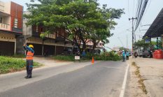 Tingkatkan Kehandalan Pasokan Listrik dan Keselamatan Publik, PLN ULP Tanjung Balai Karimun Gelar Pemangkasan Pohon di Jl. Lintas Sungai Raya Meral