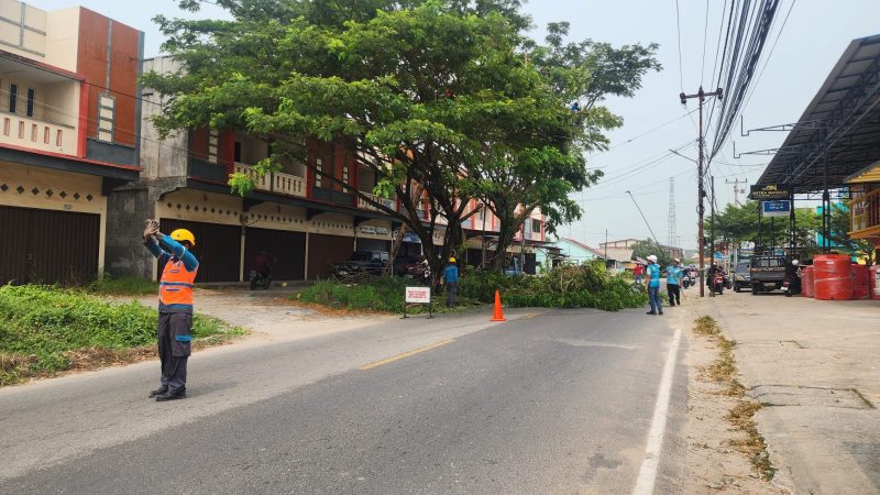 Foto: Petugas PLN memandu arah lalulintas saat melakukan pemangkasan pohon perindang jalan (right of way/ROW) .