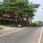 Foto: Petugas PLN memandu arah lalulintas saat melakukan pemangkasan pohon perindang jalan (right of way/ROW) .